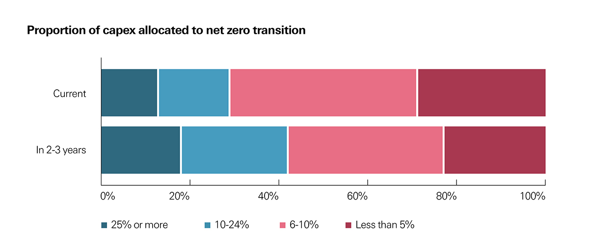 Proportion of capex allocated to net zero transition is expected to rise in next 2-3 years from current allocation. Proportion of capex allocated to net zero transition is expected to rise in next 2-3 years from current allocation.
